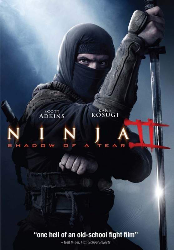 Ниндзя 2 / Ninja: Shadow of a Tear (2013)